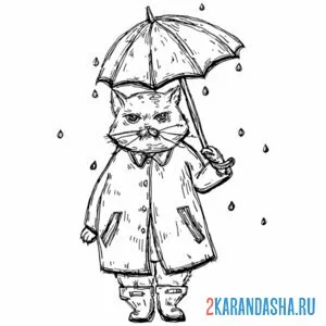 Распечатать раскраску кот в дождь под зонтом на А4