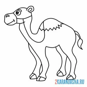Раскраска одногорбый верблюд онлайн