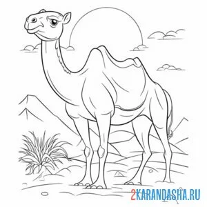 Раскраска верблюд в пустыне на закате онлайн