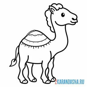 Раскраска небольшой верблюд с одним горбом онлайн