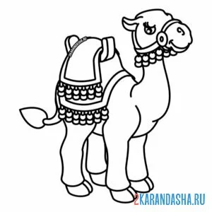 Раскраска верблюд иллюстрация онлайн