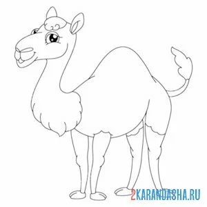 Раскраска небольшой верблюд онлайн