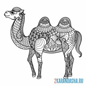 Раскраска антистресс верблюд онлайн