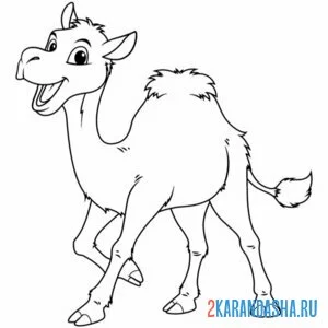 Раскраска смешной верблюжонок онлайн