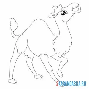 Раскраска верблюд довольный онлайн