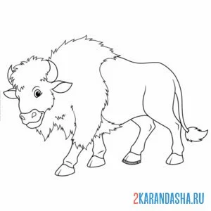 Раскраска бизон бык онлайн