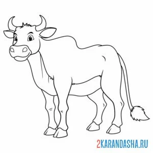 Раскраска красивый бык онлайн