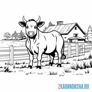 Раскраска бык на ферме онлайн