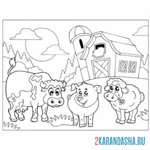 Распечатать раскраску свинья, бык и овца на А4
