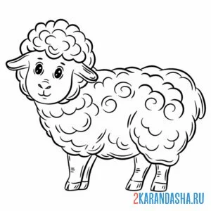 Раскраска овечка пушистая онлайн