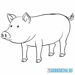Раскраска свинья одна онлайн