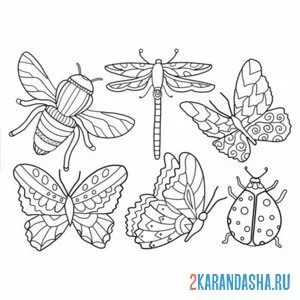 Раскраска разные насекомые онлайн