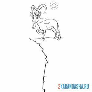 Раскраска горный козел на обрыве онлайн
