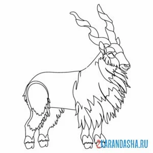 Раскраска длинные рога у козла онлайн