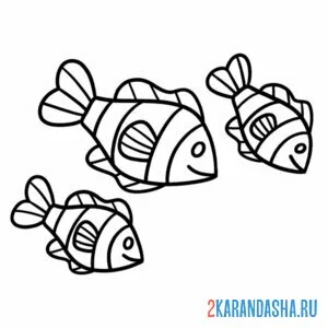 Раскраска косяк рыб онлайн