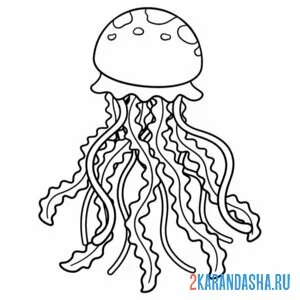 Раскраска настоящая медуза онлайн