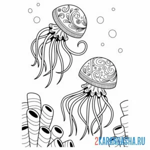 Раскраска две медузы онлайн