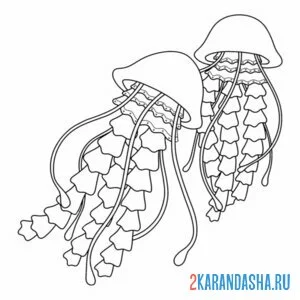 Раскраска плавающие медузы онлайн