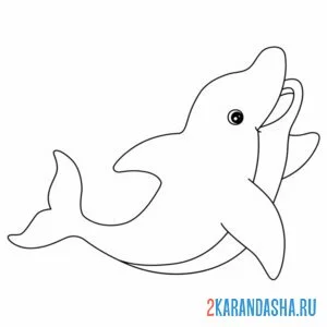 Раскраска очень красивый дельфин онлайн