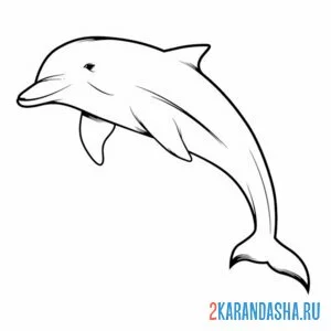 Распечатать раскраску одинокий дельфин на А4