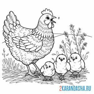 Раскраска курица и три цыпленка онлайн