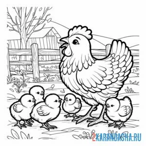 Раскраска курица и четыре цыпленка онлайн