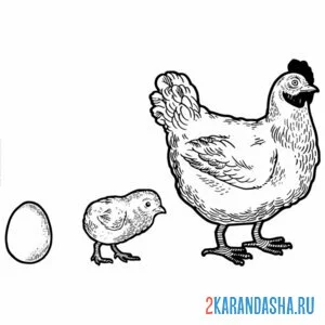 Распечатать раскраску яйцо цыпленок курица на А4