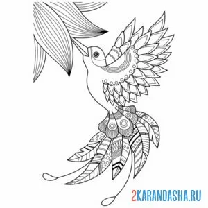 Распечатать раскраску красивая птица колибри на А4