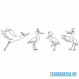 Раскраска перелетная птица аист онлайн