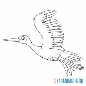 Раскраска аист перелетная птица онлайн