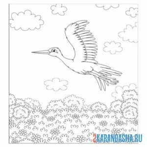 Раскраска аист перелетная птица в полете онлайн