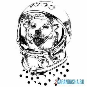 Раскраска белка собака космос онлайн