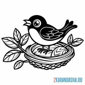 Раскраска птичка и гнездо онлайн