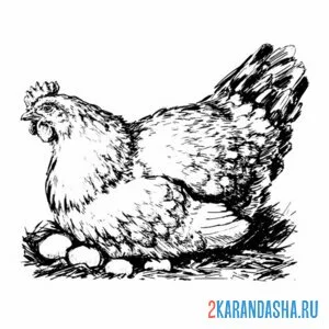 Распечатать раскраску курицы высиживает яйца в гнезде на А4