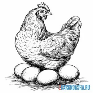 Раскраска курица и 4 больших яйца онлайн