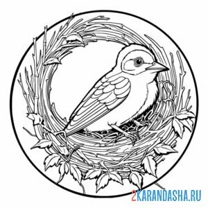Раскраска красивая птичка в гнезде онлайн