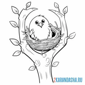 Раскраска смешной птенчик в гнезде онлайн