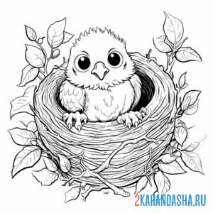 Раскраска глубокое гнездо онлайн