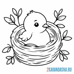 Раскраска малыш птенчик в гнезде онлайн