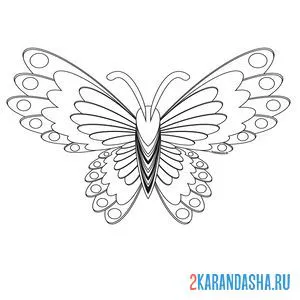 Раскраска необычная бабочка онлайн