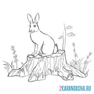 Раскраска зайчик в весеннем лесу онлайн