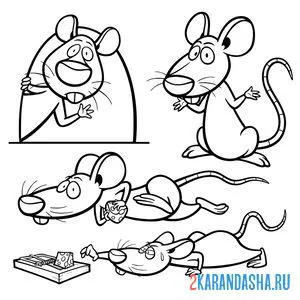 Раскраска смешная мышка онлайн