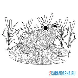 Раскраска забавная лягушка антистресс онлайн