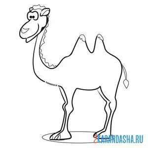 Раскраска забавный верблюд онлайн