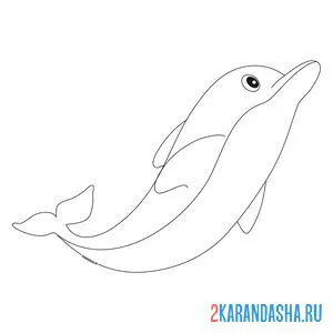 Раскраска дельфин смотрит вверх онлайн