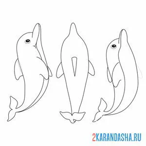 Раскраска с разных сторон дельфины онлайн
