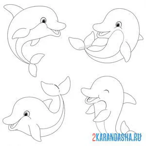 Раскраска 4 друга дельфина онлайн