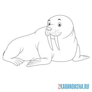 Онлайн раскраска толстый морж