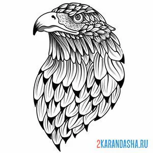 Раскраска красавец орел онлайн