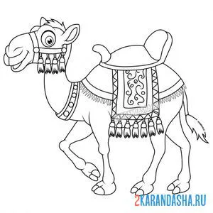 Раскраска красивый арабский верблюд онлайн